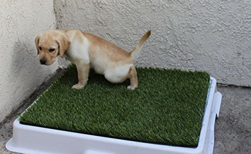 [Australia] - GOLDEN MOON Grass Mat Series Artificial Turf Pet Potty Trainer Indoor Outdoor Replacement Pet Grass Mat 15"x25" 