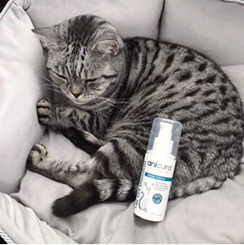 Anicura Natural Cat Gel Ointment for dry & itchy skin, hot spots, eczema & skin allergies - PawsPlanet Australia