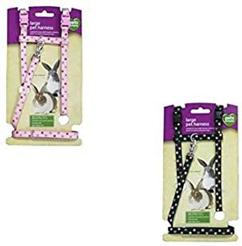 Rosewood 19337 Harness and Leash Set for Small Animals with Polka Dot Design, Large - PawsPlanet Australia