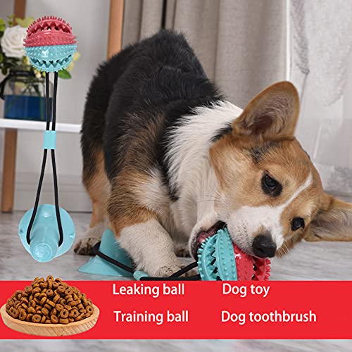 Suction Cup Dog Toy,Dog Chew Toy,Self-Play tug-of-war Interactive Ball,Clean Teeth,Molars,Squeaky Toy Balls and Food Distribution Function - PawsPlanet Australia