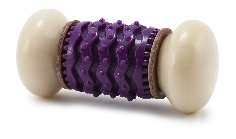 PetSafe Busy Buddy Nobbly Nubbly Dog Chew Toy, M Purple Medium - PawsPlanet Australia