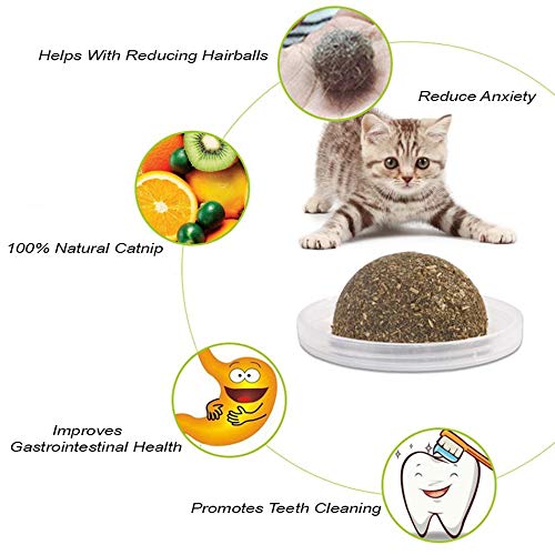 [Australia] - Octlang 100% Natural Catnip Cat Wall Stick-On Ball Toy Treats 