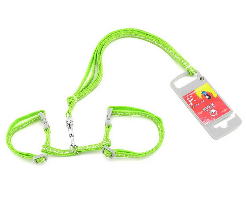 Ranphy Small Dog Halter Harness Cat Basic Harness Pet Collar with Leash Set Adjustable for Walking Training Running Hiking Green - PawsPlanet Australia