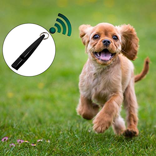 IKAAR Dog Whistle Ultrasonic Dog Whistles for Recall with Lanyard & Adjustable Frequencies - PawsPlanet Australia