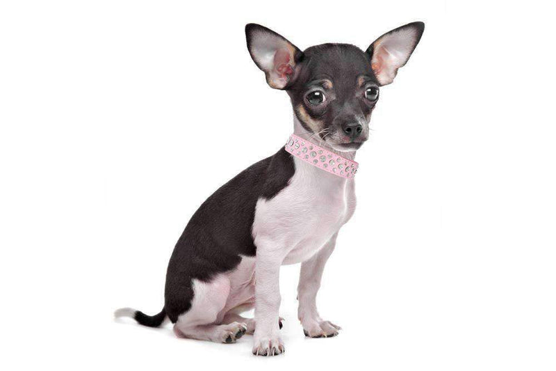 haoyueer Bling Rhinestone PU Leather Crystal Diamond Pet Dog Cat Puppy Collar SML XL (S, Pink) Pink, Black - PawsPlanet Australia
