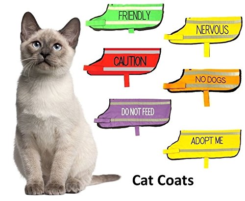 [Australia] - Dexil Color Coded Cat Harness Warning Alert Vest Padded and Water Resistant Let Others Know Your Cat in Advance Large-Xlarge Red CAUTION 