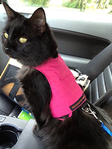Mynwood Cat Jacket/Harness Pink Adult - PawsPlanet Australia