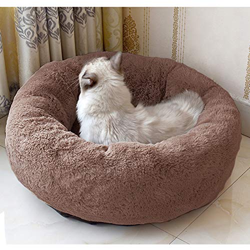 TINTON LIFE Luxury Plush Pet Bed with Pillow for Cats Small Dogs Round Cuddler Oval Cozy Self-Warming Cat Bed for Improved Sleep, Coffee S S 13.82 x13.82 x8.7" - PawsPlanet Australia