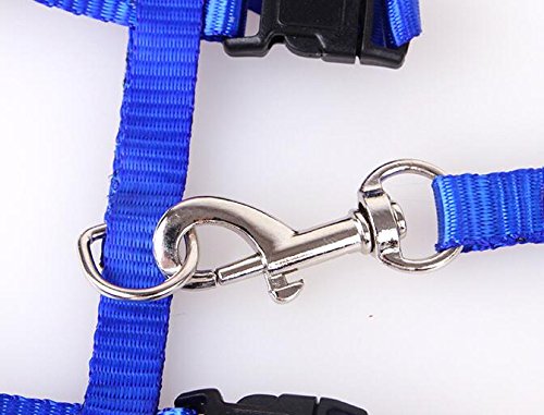 [Australia] - Gozier Pet Lead Leash Halter Harness Adjustable Safety Nylon Rope Strap Belt for Dog Cat Kitten BLUE 