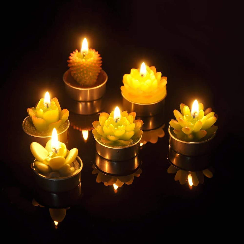 SanSeng Cactus Tealight Candles, Handmade Delicate Succulent Cactus Candles（ Perfect for Birthday Party ,Wedding, Spa, Home Decor( 6 Pcs in Pack) - PawsPlanet Australia