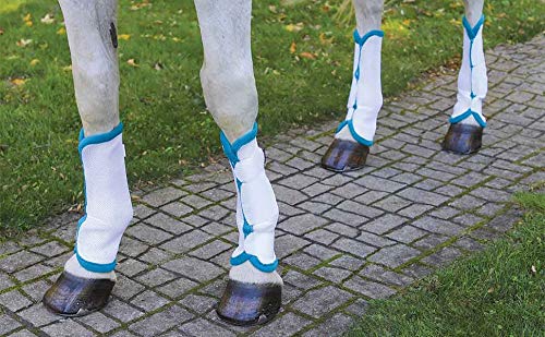 Shires Arma Fly Turnout Socks - Teal Cob - PawsPlanet Australia