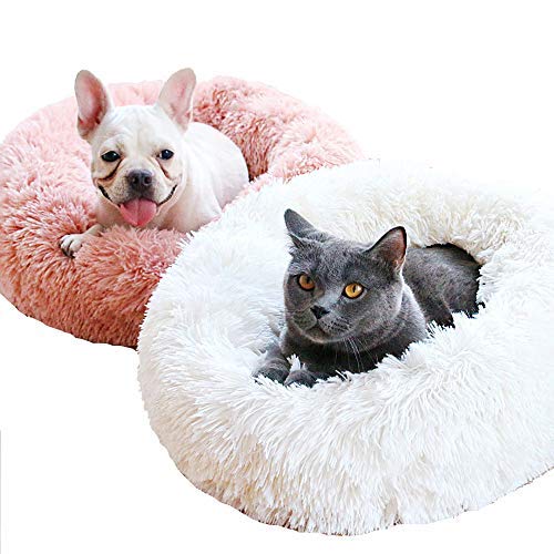 [Australia] - BODISEINT Modern Soft Plush Round Pet Bed for Cats or Small Dogs, Mini Medium Sized Dog Cat Bed Self Warming Autumn Winter Indoor Snooze Sleeping Cozy Kitty Teddy Kennel M(23.6"Dx7.9"H) Dark Grey 