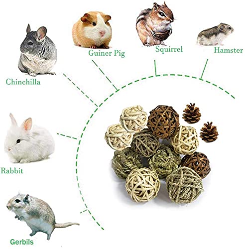 kathson Natural Bunny Chew Balls Small Animal Activity Toys Rabbit Play Ball Rolling Toy Gnawing Treats Timothy Grass Balls for Guinea Pigs Chinchilla Pet Cage Entertainment Accessories 12 Pack - PawsPlanet Australia