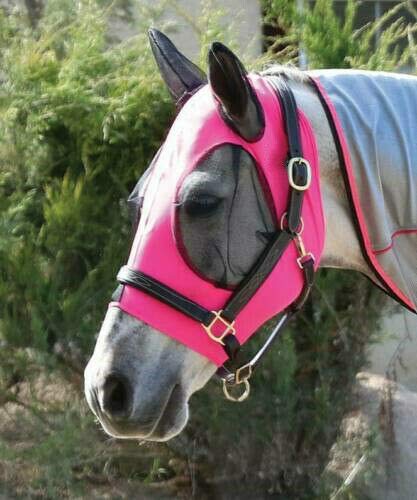 Horse Fly Mask, Fit Horse & Arab Size Fly Mask Professional Comfort Lycra Fly Mask with Mesh Eyes and Ears （Pink） - PawsPlanet Australia