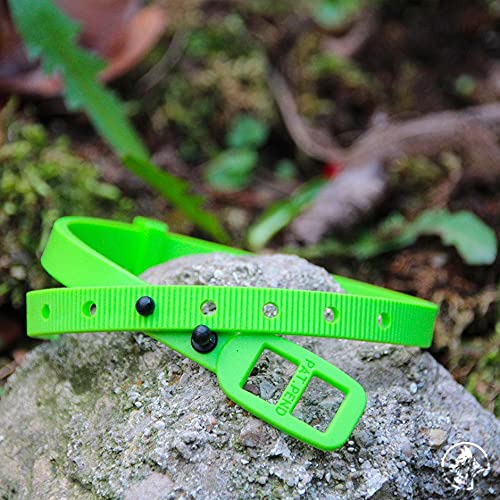 Croci Niki Natural Defence Dog Collar, 75 cm, One Size, Neem - PawsPlanet Australia