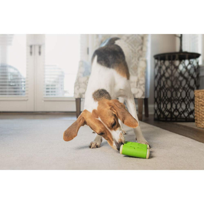 PetSafe Ribinator Interactive, Durable Treat Holding Dog Toy for Tough Chewers, Medium - PawsPlanet Australia