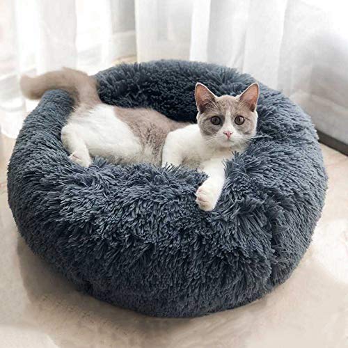 [Australia] - BODISEINT Modern Soft Plush Round Pet Bed for Cats or Small Dogs, Mini Medium Sized Dog Cat Bed Self Warming Autumn Winter Indoor Snooze Sleeping Cozy Kitty Teddy Kennel M(23.6"Dx7.9"H) Dark Grey 