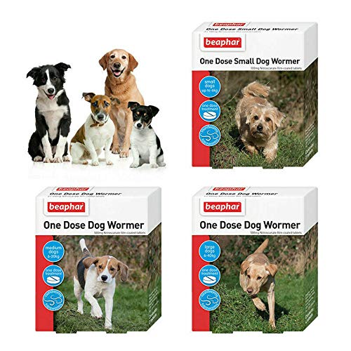 Beaphar One Dose Wormer Small Medium and Large Dogs Dog Worming Tablets (Medium Dogs 6-20 kg) - PawsPlanet Australia