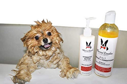 [Australia] - Warren London 2in1 Pet Shampoo Plus Conditioner with Vitamin E & Shea Butter - 17oz & 1 Gallon Sizes - Made in USA 17 Ounce 