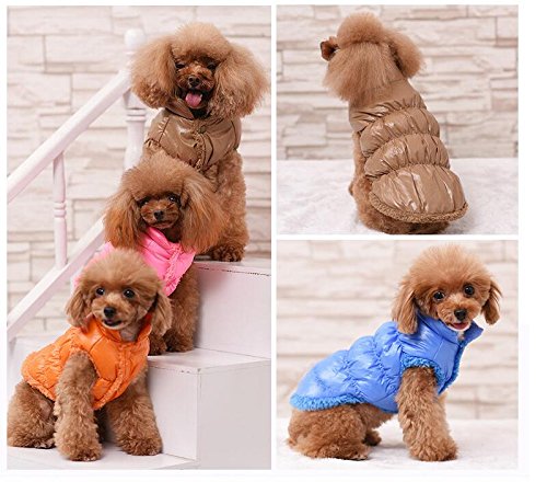 Rantow Autumn Winter Pet Dog Cat Clothes Warm Down Coat, 7 Colors Classic Pet Outwear Down Jacket for Teddy, Yorkshire Terrier, Chihuahua, Pomeranian XS Brown - PawsPlanet Australia