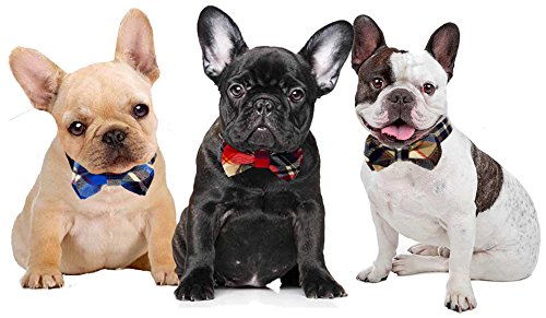 [Australia] - Kebs Cat & Dog Bow Tie Collar with Detachable Bowtie Adjustable Neck Tie for Cats & Dogs Small Plaid Khaki 