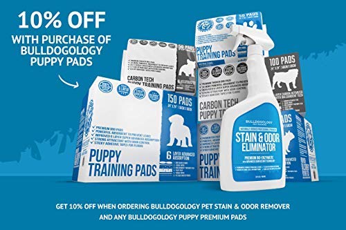 [Australia] - Bulldogology Pet Stain & Odor Remover - Pet Urine Odor Remover and Pet Odor Eliminator, 32oz 32 oz 