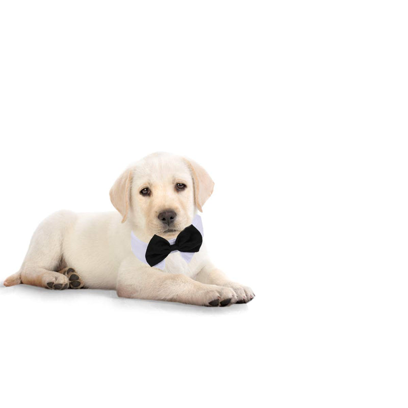 [Australia] - UEETEK Dog Bow Tie Collar Puppy Pet Bowtie Collar Cute Cat Neck Tie for Puppy Kitty - Size S(Black White) 