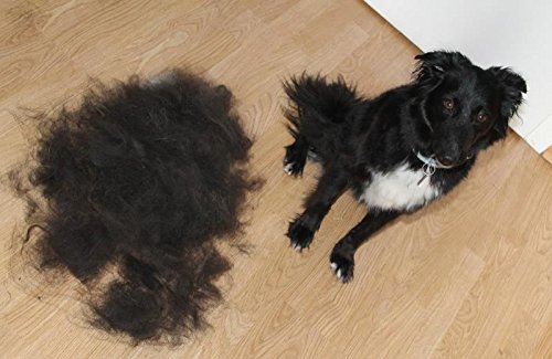 EzzyGroom Dog Brush Ezzy Cat Brush Fur Brush Hit Grooming Dog Comb - PawsPlanet Australia