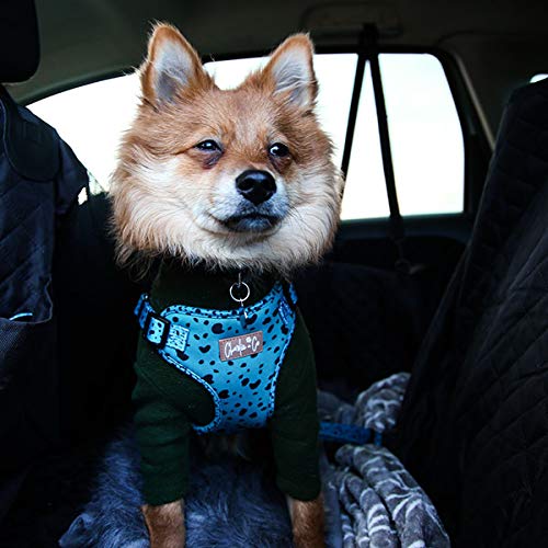 Charlie + Co Pet Dog Car Seatbelt with Universal Safety Buckle, 360 Degree Swivel Clasp, Adjustable Length (46cm - 72cm) (Keep it Teal) Keep it Teal - PawsPlanet Australia