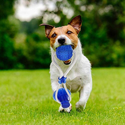 YUET Multifunction Pet Dogs Molar Bite Dog Toys Rubber Chew Ball Cleaning Teeth Safe Elasticity Soft Puppy Suction Cup Dog Biting Toy (Green) Green - PawsPlanet Australia