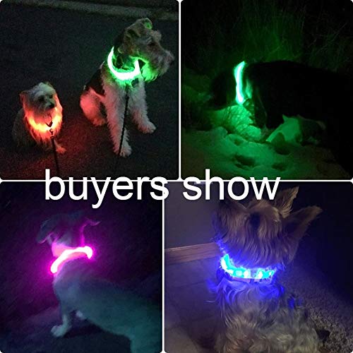 [Australia] - Illumifun LED Dog Collar, USB Rechargeable Light Up Collar, 360 Degree Glowing Pet Collar, DIY Cuttable Flashing Collar for Your Small Medium Large Dogs Candy Pink 