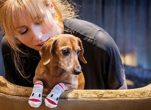 [Australia] - RC Pet Products Pawks Dog Socks Large Puppet 