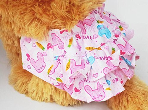 [Australia] - Dogs Kingdom 3Pcs Nice Dog Small Floral Diaper Skirt Female Girl Sanitary Pant Dress Underwear For Small Dogs Breed M Random-3pcs 