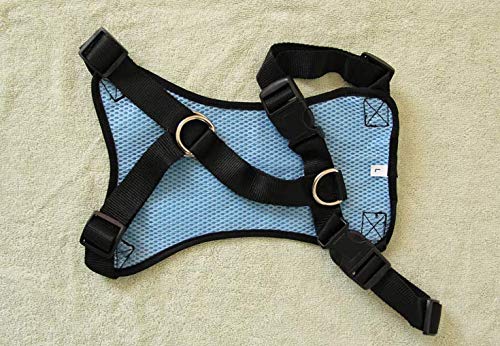 New G Line Blue Dog Harness Breathable Comfortable Pet Vest Adjustable Soft Padded Dog Power Strap, size L - PawsPlanet Australia