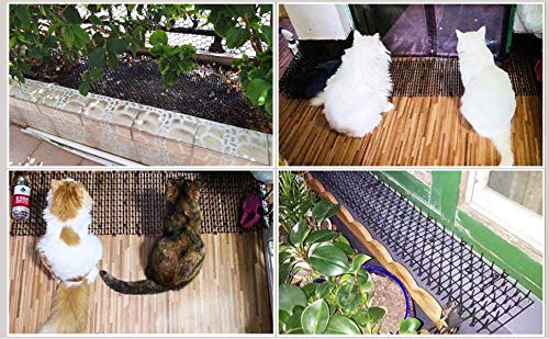 Hmyomina 10 Pack Cat Scat Mat 17 X 14 Inch Square Scat Mat for Cats Prickle Strips from Digging Cat Deterrent Outdoor Black - PawsPlanet Australia