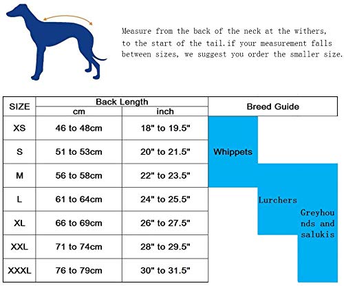 Morezi Greyhound Winter Coat, Whippet Coat with Padded Fleece Lining, Water Resistant Dog Jacket with Adjustable Bands and Reflective - Navy - Xsmall XS - PawsPlanet Australia