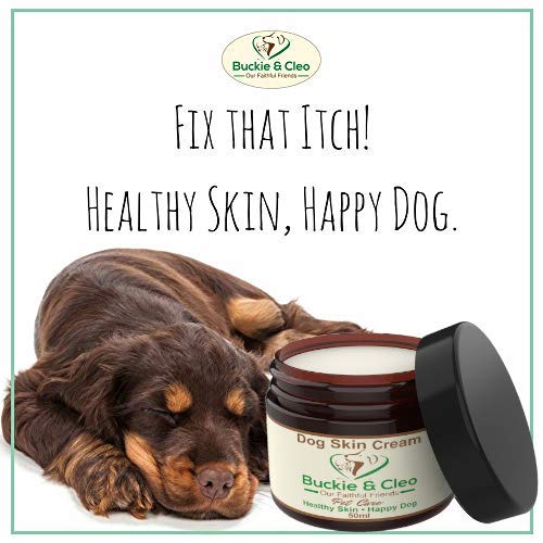 Buckie & Cleo Dog Skin Cream - Natural Soothing Balm For Sore, Itchy, Dry Or Irritated Skin. Ease Discomfort From Insect Bites. 50ml Jar Of Quality Natural Pet Care - PawsPlanet Australia