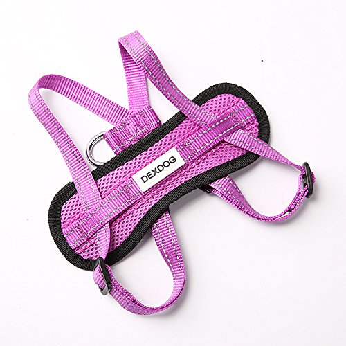 DEXDOG Chest Plate Harness Auto Car Safety Harness | Adjustable Straps, Reflective, Padded for Comfort | Best Dog Harness Small Large Dogs (Purple, X-Small) XS Purple - PawsPlanet Australia