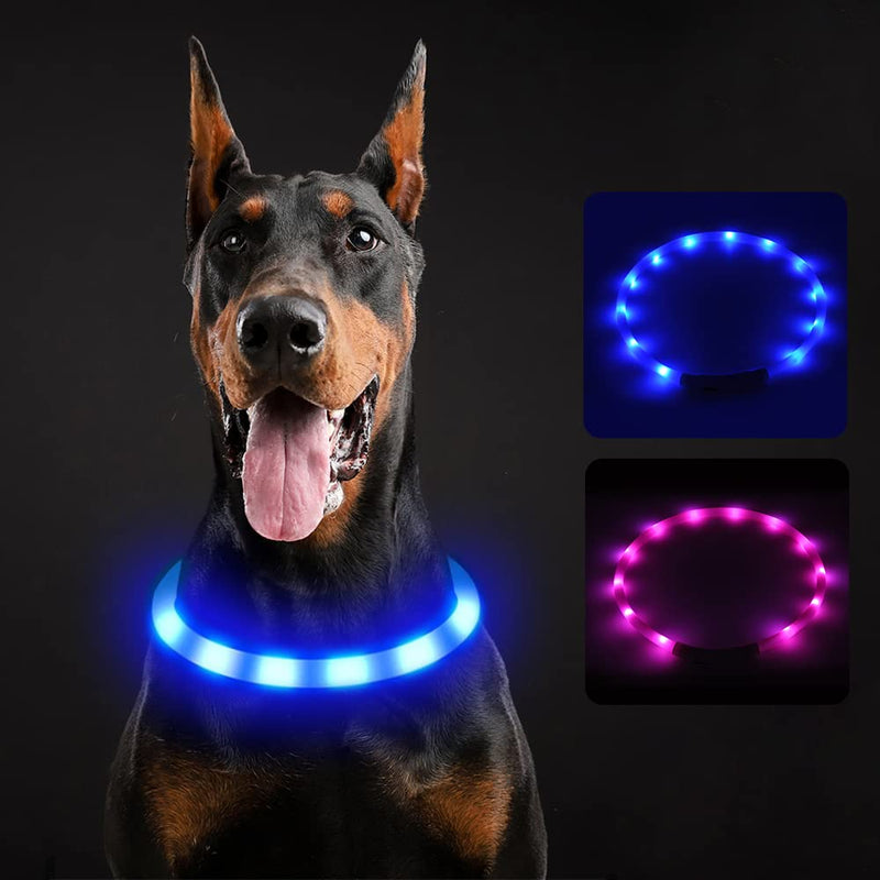 Light Up Dog Collars, OurMiao LED Dog Collar, Rechargeable Dog Lights for Night Walking, Lighted Dog Glow Collar for Small Medium Large Dogs (Blue) Blue - PawsPlanet Australia