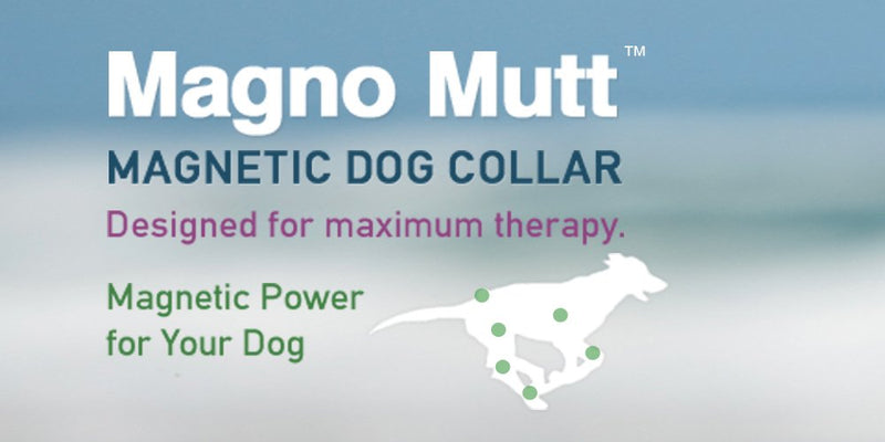 Magno Mutt - Advanced Magnetic Dog Collar - Cherry Red - Small (12 ½ – 15 ½ in.). Now with new Metal D Ring - PawsPlanet Australia