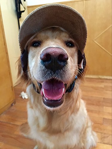 Pet Dog Baseball Cap Sport Cap Hat - Outdoor Hat Sun Protection Summer Cap for Small Medium Large Dog (Small Cap, Brown) - PawsPlanet Australia