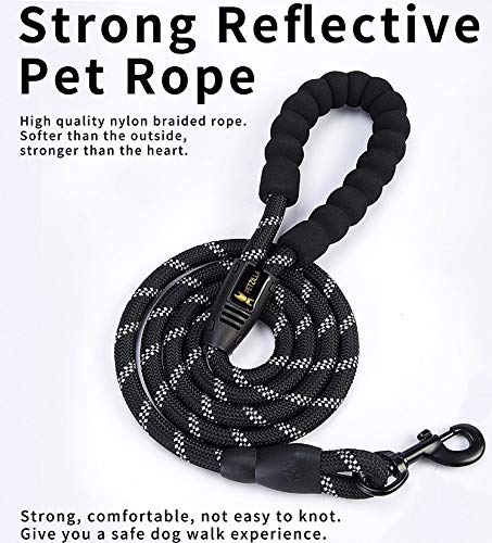 Petzilla Leads Dog Lead Shock Absorbing Anti-Pull Leash | With Comfortable Foam Padded Handle | Reflective Material for Night Time Walks | Suitable for all Dog Breeds | Ideal for Runners (Black) Black - PawsPlanet Australia