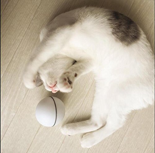 [Australia] - Toys For Cat - Ball Interactive Automatic Rolling Light Entertainment Exercise For Cats And Puppy Dogs(9 Batteries Included) 