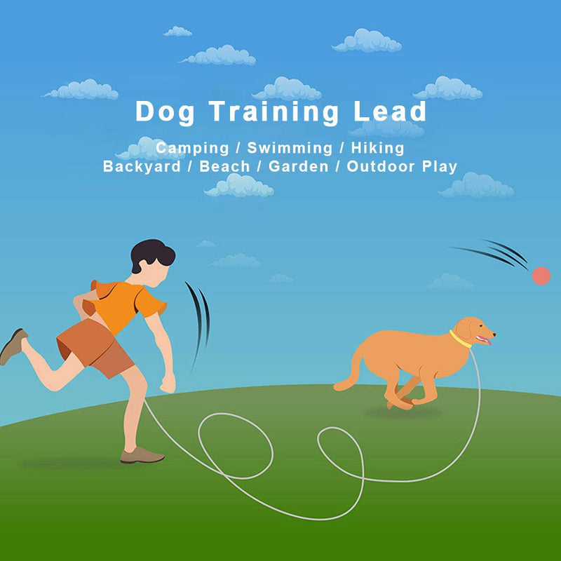 Dog Training Lead Long 10m/30ft - Longline Nylon Dog Leash for Small, Medium, Large Dogs - Lunge Recall Obedience Training Control Tracking - Ideal for Outdoor Camping, Swimming, Yard, Garden（Grey） - PawsPlanet Australia
