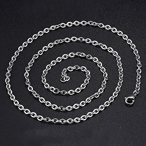 OutstandLong Cat Animal Urn Necklace for Ashes Pet Paw Prints on My Heart Cremation Keepsake Necklace Memorial Locket Jewelry Gift - PawsPlanet Australia