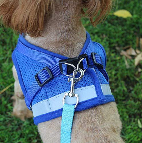 Losuya Adjustable Comfortable Dog Vest Harness Soft Breathable Mesh Lead Leash Dog Harness (Blue, S) Blue - PawsPlanet Australia