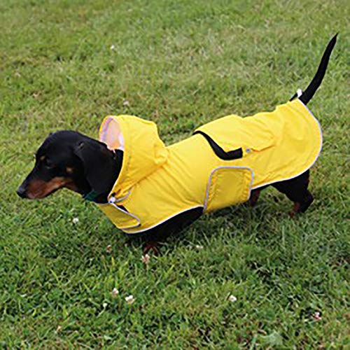 Doodlebone Mac-In-A-Pack Dog Jacket, Yellow, Medium M - PawsPlanet Australia