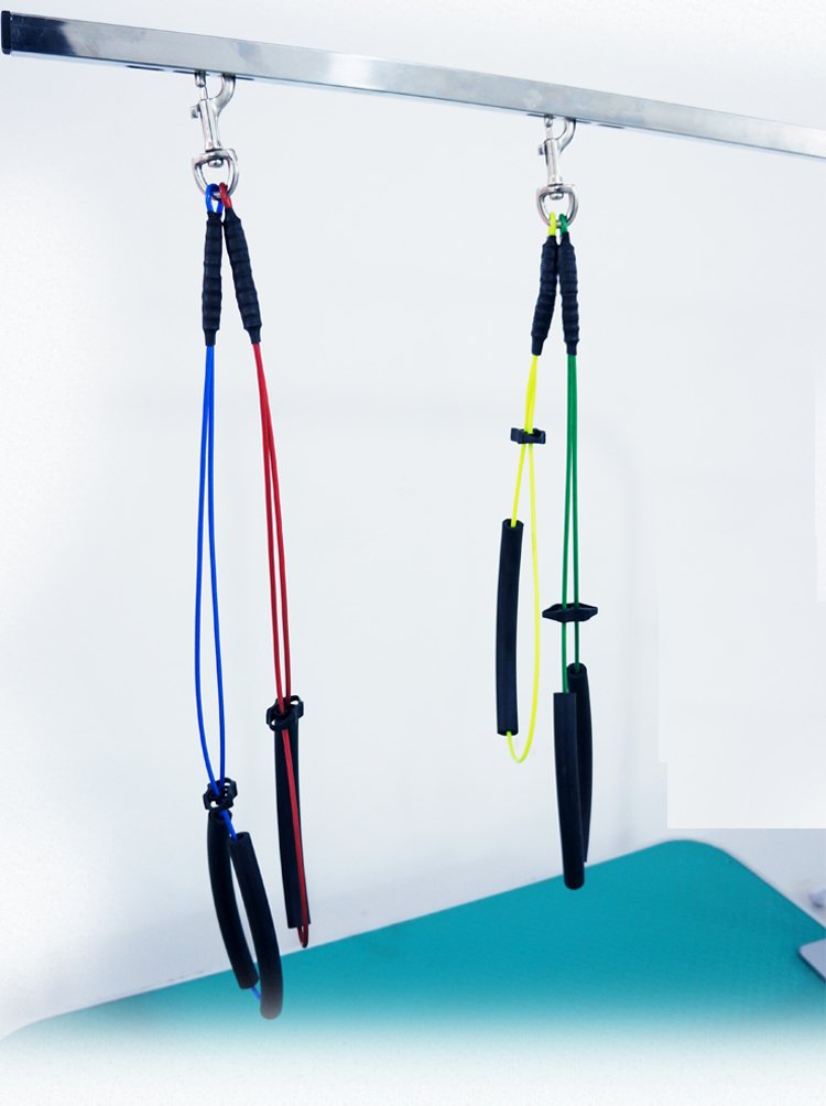 [Australia] - Lanyarco No-Sit Haunch Holder Dog Grooming Harness Leash Loop for Pet Green / Blue-For small to medium dogs 