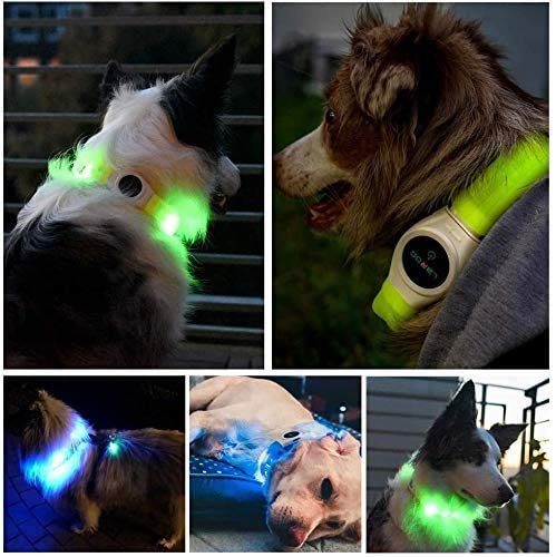 LaRoo USB Rechargeable Bright LED Dog Safety Collar, Length Adjustable Light Up Dog Collar, Soft Silicone Flashing Night Safety Collar for Large Long Hair Dogs (Blue, (65CM*2.5CM)) Blue (65CM*2.5CM) - PawsPlanet Australia