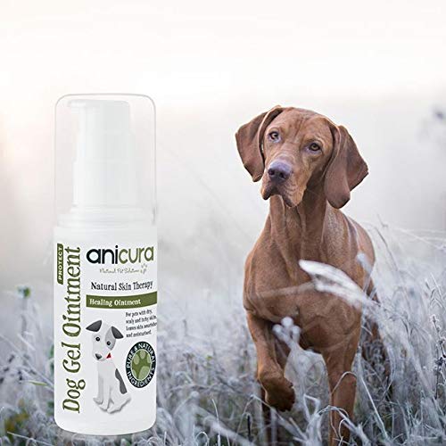 Anicura Natural Dog Gel Ointment for dry & itchy skin, hot spots, eczema & skin allergies - PawsPlanet Australia